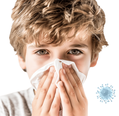 Air Ducts Cleaners Kingwood TX